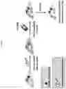 Fig. 05 - Photoaffinity probes