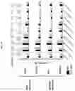 Fig. 22 - Photoaffinity probes