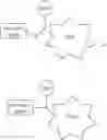 Fig. 221 - Photoaffinity probes