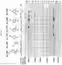 Fig. 30 - Photoaffinity probes