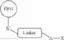 Fig. 66 - Photoaffinity probes