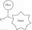 Fig. 68 - Photoaffinity probes