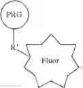 Fig. 69 - Photoaffinity probes