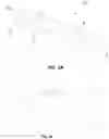 Fig. 02 - Test Strip to Identify Insect and Arachnid Ectoparasites