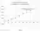 Fig. 08 - Lateral flow immunoassay for measuring functional C1-esterase inhibitor (C1-INH) in plasma samples