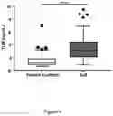 Fig. 07 - Tumstatin Assay