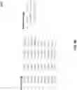 Fig. 06 - Efficient method to index scheduled backup of same target and the corresponding files
