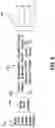 Fig. 07 - SYSTEM AND METHOD FOR MANAGING  RELATED FEEDBACK