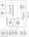 Fig. 25 - Systems and methods for implementing generated alimentary instruction sets based on vibrant constitutional guidance