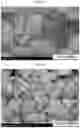 Fig. 07 - CATHODE ACTIVE MATERIAL FOR LITHIUM SECONDARY BATTERY, CATHODE INCLUDING SAME, AND LITHIUM SECONDARY BATTERY INCLUDING SAME
