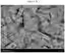 Fig. 08 - CATHODE ACTIVE MATERIAL FOR LITHIUM SECONDARY BATTERY, CATHODE INCLUDING SAME, AND LITHIUM SECONDARY BATTERY INCLUDING SAME