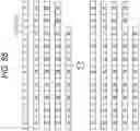 Fig. 75 - Transmission method and receiving device
