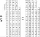 Fig. 81 - Transmission method and receiving device