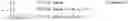 Fig. 05 - User terminal and radio communication method