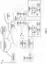 Fig. 02 - Control plane isolation for software defined network routing services