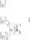 Fig. 07 - Control plane isolation for software defined network routing services