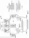 Fig. 04 - Virtual port group