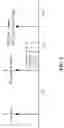 Fig. 04 - Radio link control (RLC) acknowledged mode (AM) data reception