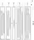 Fig. 06 - Radio link control (RLC) acknowledged mode (AM) data reception