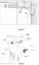 Fig. 32 - Method and devices for enabling portability of data and client between cloud service providers