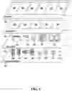 Fig. 06 - Automatic report and resolution generation from multi-platform communications