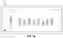 Fig. 06 - Interactive data transfer