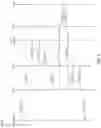 Fig. 08 - Systems and methods for microservice execution load balancing in virtual distributed ledger networks