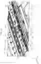 Fig. 11 - Recording apparatus