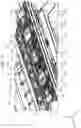 Fig. 13 - Recording apparatus