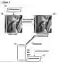 Fig. 02 - Method of embedding watermark data in an image by adjusting a pixel when color channel values are above or below a threshold and based on a pixel of a transformed noise-based image being white or black