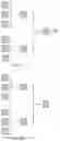 Fig. 12 - Image data encoding and decoding and storage medium