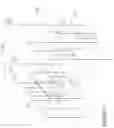 Fig. 10 - Inheritance in sample array multitree subdivision
