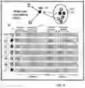 Fig. 07 - Discovery in a communication system