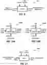 Fig. 13 - Inter network roaming between independently managed satellite networks