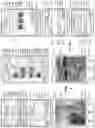 Fig. 62 - Systems and methods for programming, controlling and monitoring wireless networks