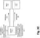 Fig. 06 - Diversified RAN architecture with congestion control based on spectrum re-allocation