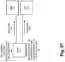 Fig. 09 - Diversified RAN architecture with congestion control based on spectrum re-allocation