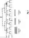 Fig. 02 - Searching for control channels in a wireless network