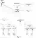 Fig. 05 - Simultaneously broadcasting acknowledgements of reception of uplink wireless communication