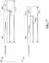 Fig. 08 - Dynamic padding field to match downlink and uplink downlink control information length