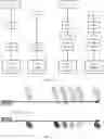 Fig. 03 - Beam configuration method and apparatus