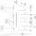 Fig. 02 - Mobile core network service exposure for the user equipment
