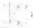 Fig. 08 - Mobile core network service exposure for the user equipment