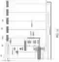 Fig. 12 - Mobile core network service exposure for the user equipment