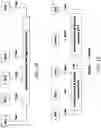 Fig. 22 - Mobile core network service exposure for the user equipment