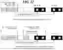Fig. 23 - Channel access method, device and system in unlicensed band