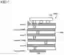Fig. 11 - Multilayer circuit board comprising serially connected signal lines and stubs disposed in different layers of the multilayer circuit board
