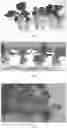 Fig. 04 - NUTRIENT MEDIUM FOR AUTOMATED CULTIVATION OF PLANTS