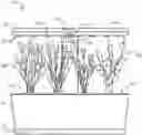 Fig. 01 - Gardening apparatus