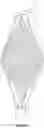 Fig. 06 - Pet Sling